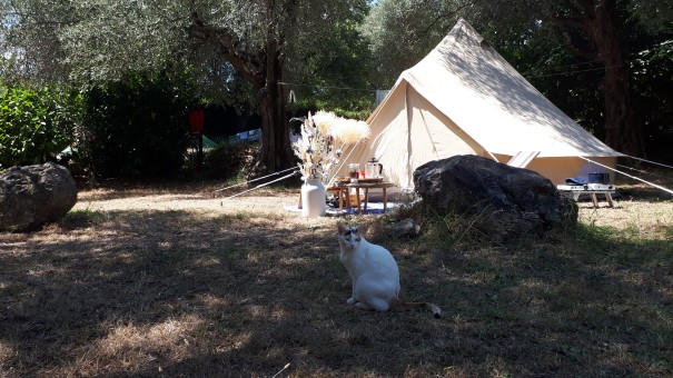 Camping La Camassade Emplacement Tente