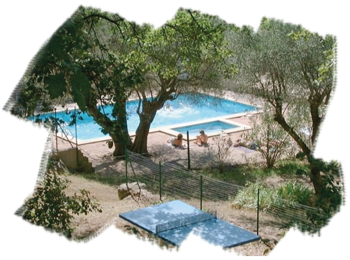 La piscine ombrageée, avec un olivier multi centenaire, au Camping La Camassade